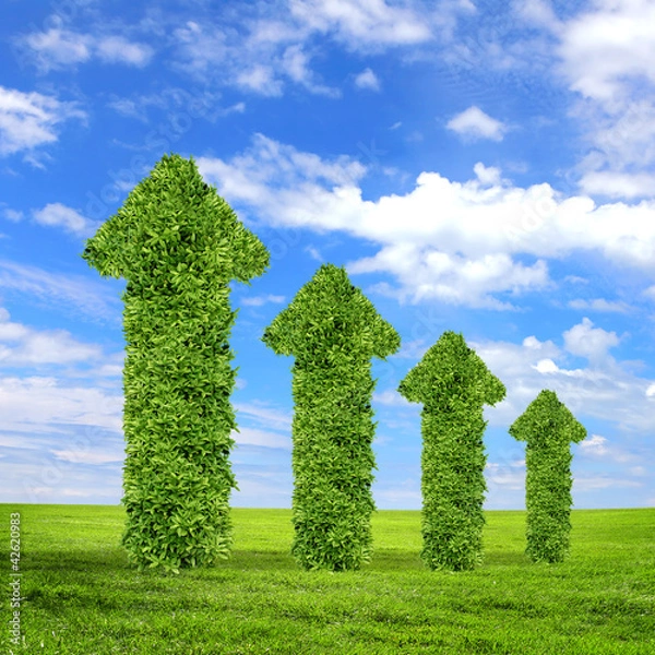 Obraz Green grass arrows