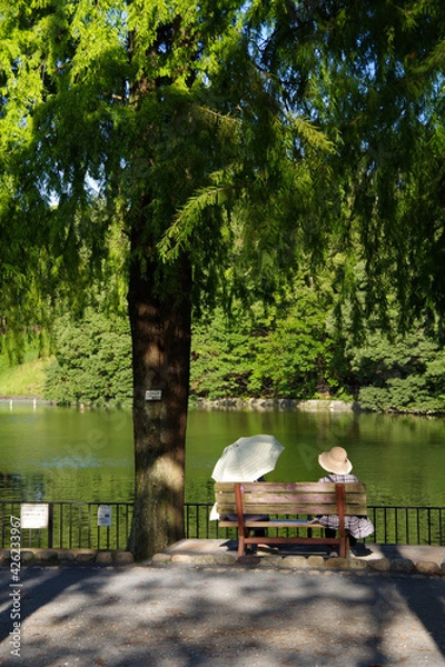 Fototapeta 公園のベンチでくつろぐ人　自然豊かな公園