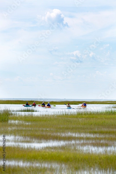 Fototapeta Group of kayakers in a marsh on Cape Cod, Massachusetts