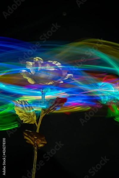 Fototapeta Blurred crystal glass roses on colored light background in black backdrop.