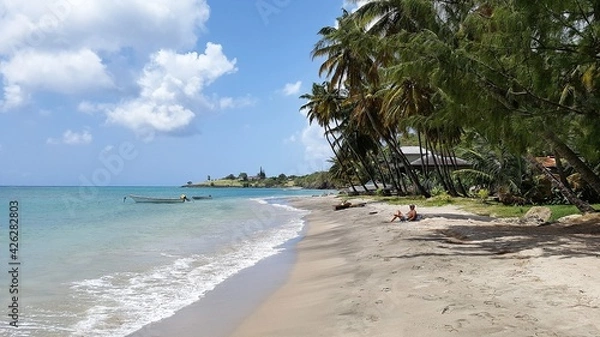 Obraz White sand beach with palm trees in Saint Lucia