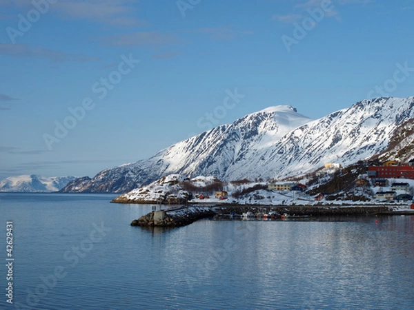 Obraz OLYMPUS DIGITAL CAMERA