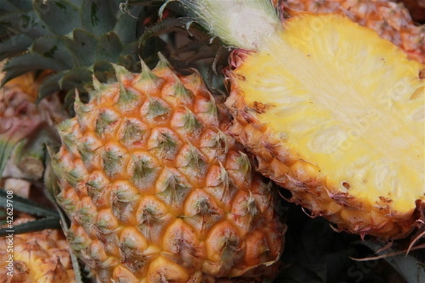 Obraz Ananas victoria