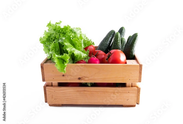 Obraz Wooden crate full of fresh vegetables from the garden