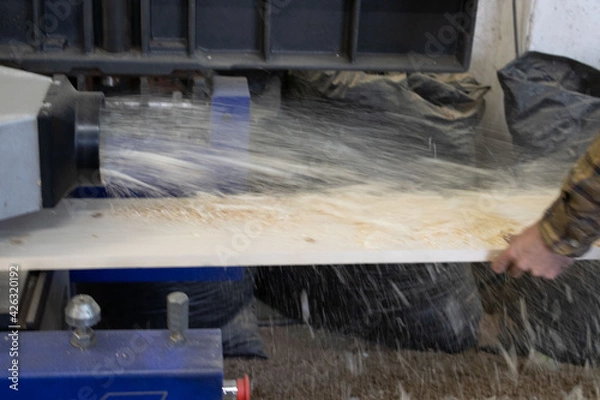 Fototapeta Carpenter in the carpentry in action