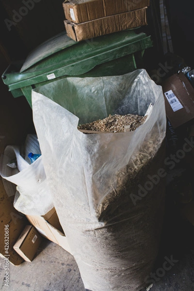 Fototapeta Carpenter in the carpentry in action