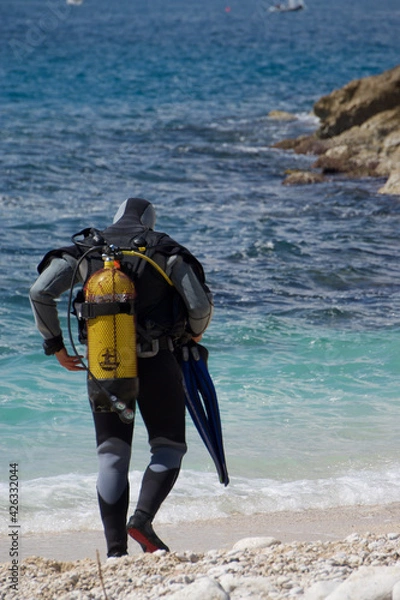 Fototapeta scuba diving on the beach