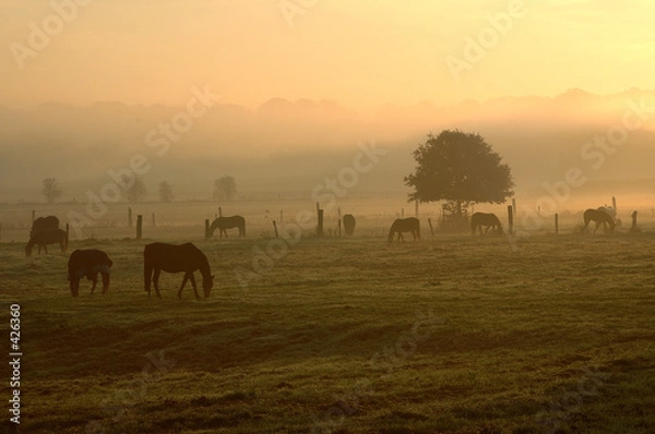Obraz jesienny poranek