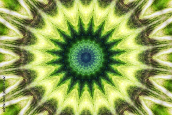 Fototapeta Circule abstract green background