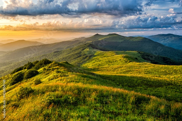 Fototapeta Beautiful summer mountain landscape. Green meadow and the blue sky. Polonina Wetlinska, Bieszczady, Carpathians, Poland.