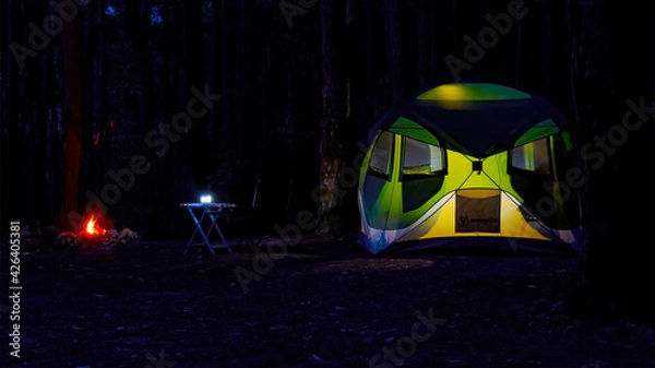 Obraz Camping in the Forest