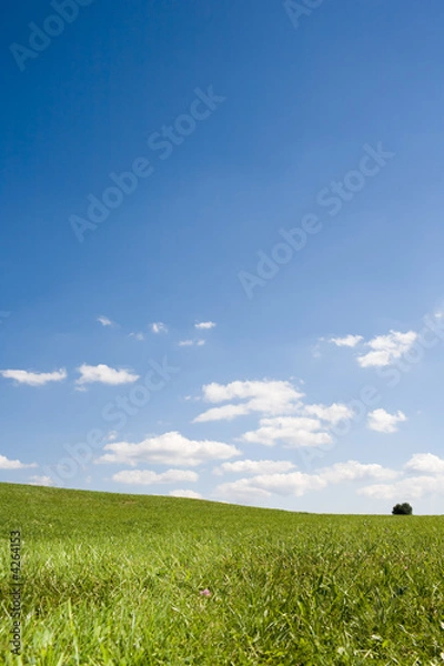 Obraz Himmel und Wiese