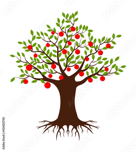 Obraz Apple tree vecor