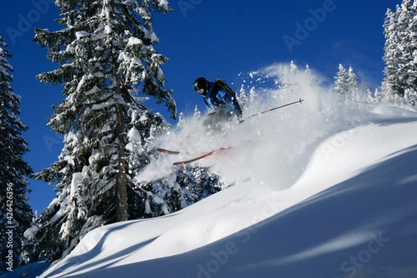 Obraz skiing in the mountains