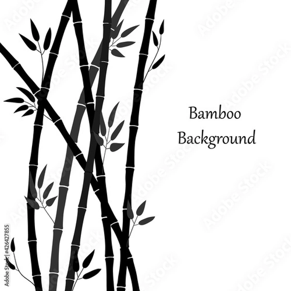 Obraz Bamboo forest illustration. Vector background with bamboo stems and leaves. Graphics, black silhouette of plants on white. Template for banner, cover, advertisement, internet story, print on mug