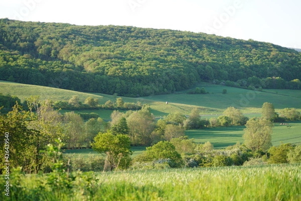 Obraz Flühlinsgefühle