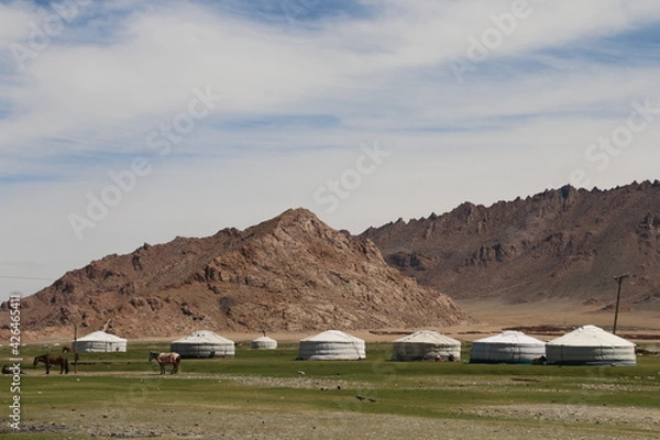 Fototapeta Beautiful landscape of Mongolia. Untouched nature in summer with grass and flowers.