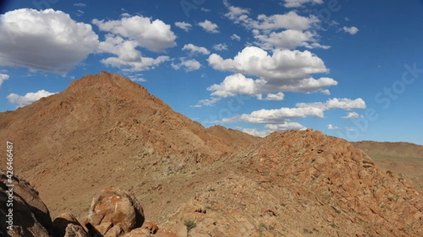 Fototapeta Beautiful landscape of Mongolia. Untouched nature in summer with grass and flowers.
