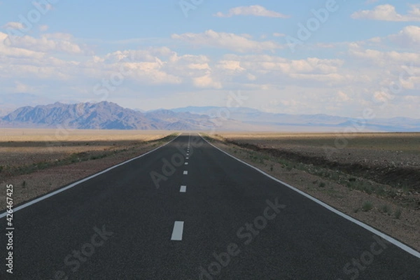 Fototapeta Beautiful landscape of Mongolia. Untouched nature in summer with grass and flowers. Mongolia, yurt, nomads, pastures, skull, camel, path, road in the dunes.
