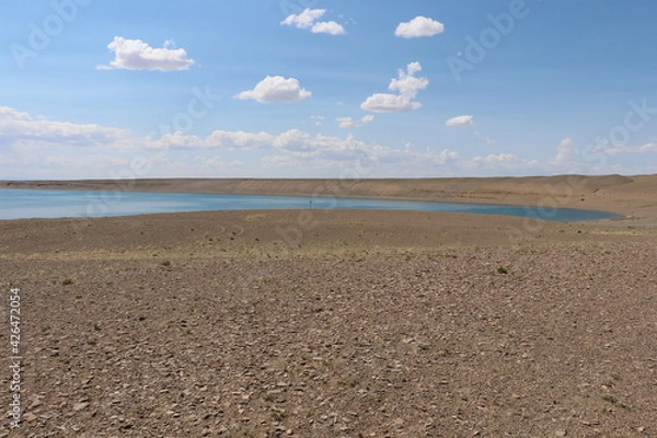 Fototapeta Beautiful landscape of Mongolia. Untouched nature in summer with grass and flowers.