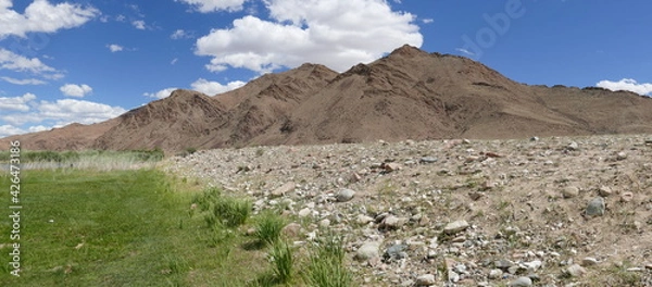 Fototapeta Beautiful landscape of Mongolia. Untouched nature in summer with grass and flowers. Mongolia, yurt, nomads, pastures, skull, camel, path, road in the dunes, desert, Asia, lizard,