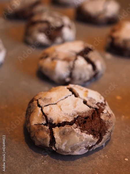 Obraz homemade chocolate cookies