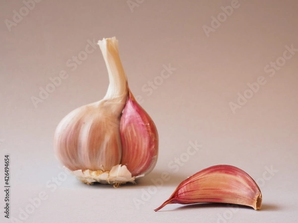 Obraz garlic