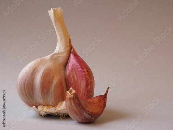 Obraz garlic