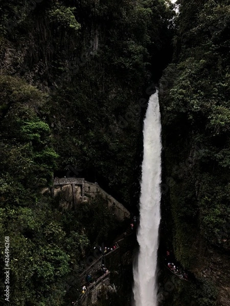 Obraz waterfall in the forest