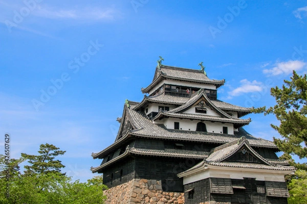 Fototapeta 松江城