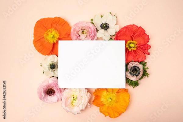Fototapeta Poppies and ranunculus floral flat lay with blank stationery card on blush background
