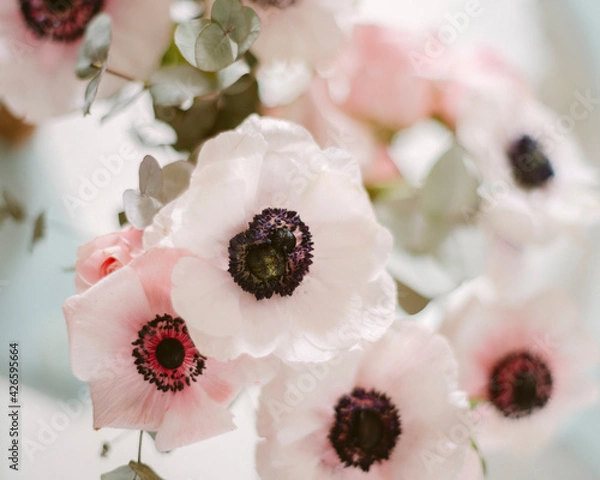Obraz selective focus. white poppies bouquet
