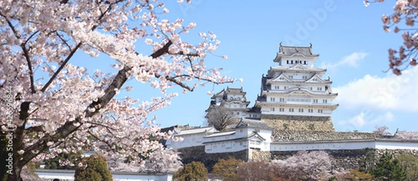 Fototapeta Panorama Scenic view Himeji castle and Cherry blossom blooming in Himeji city, Hyogo prefecture of Japan.