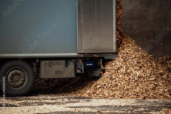 Fototapeta the truck unloads tons of wood waste. sawdust and shavings are stored for further processing. mountain of waste wood