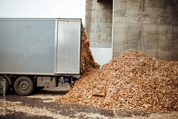 Fototapeta the truck unloads tons of wood waste. sawdust and shavings are stored for further processing. mountain of waste wood