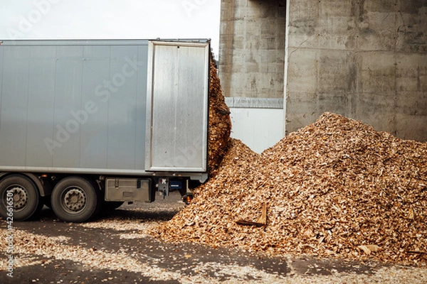 Fototapeta the truck unloads tons of wood waste. sawdust and shavings are stored for further processing. mountain of waste wood