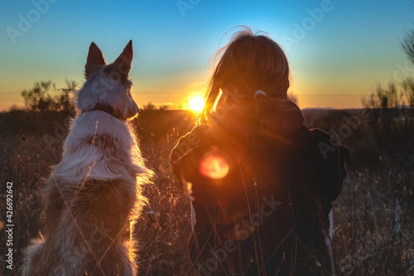 Obraz Primer plano de podenco y persona sentados en el campo contemplando el atardecer de fondo con un cielo azul despejado