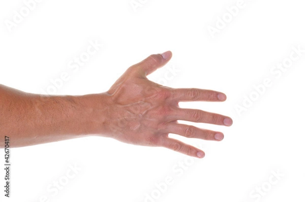 Fototapeta hand