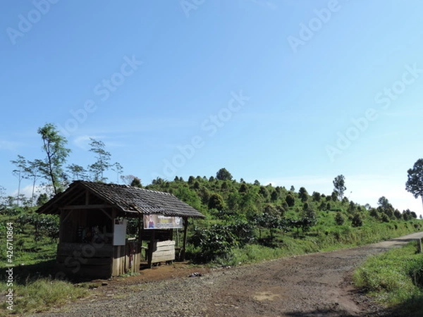 Fototapeta hill view photo with blue sky background