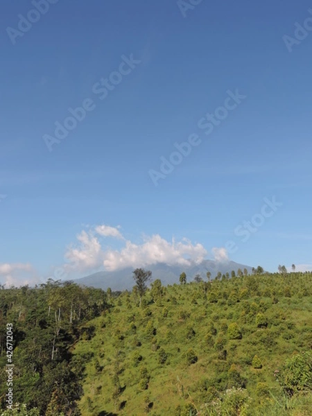 Fototapeta hill view photo with blue sky background