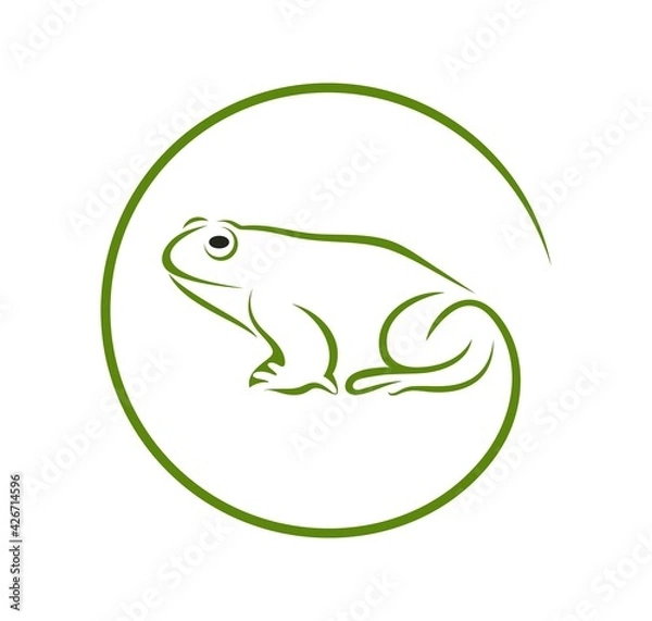 Fototapeta Frog outline. Abstract frog on white background. Bufo Common European Toad