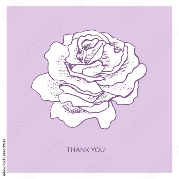 Fototapeta Hand drawn "Thank you" post card with garden roses on the violet background. Floral greeting card template. Vector sketch style botanical illustration.
