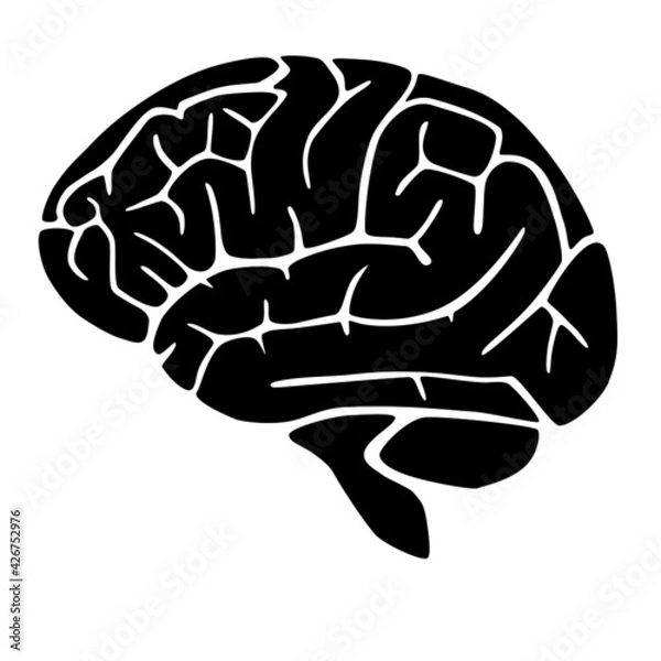 Fototapeta Gehirn als Vektor Datei. Beliebig anpassbar und veränderbar. Verwendbar für Karten, Logos, Social Media, Homepages oder Werbe-Plakate. Zeigt ein Element der Menschlichen Anatomie. Handgezeichnet.