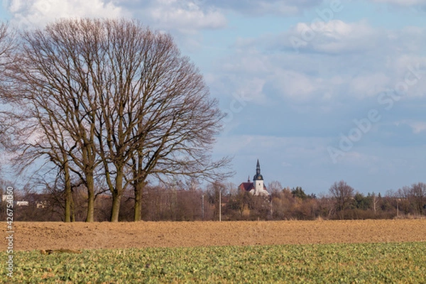 Obraz windmill in the countryside