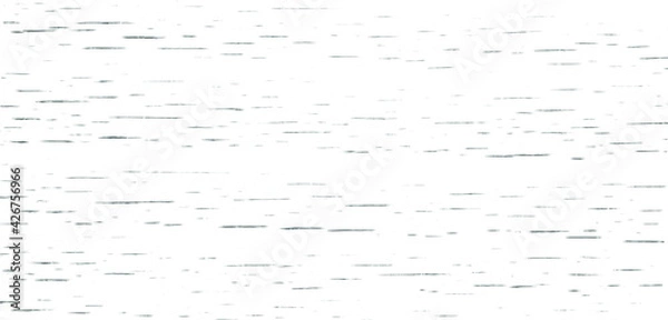 Fototapeta Subtle white wood texture background of distressed beech grain. Cool light grey natural wooden texture wallpaper. Birch bark pattern. Vector EPS10.