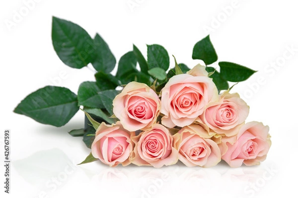 Fototapeta bouquet of pink roses on a white table with reflection, isolate
