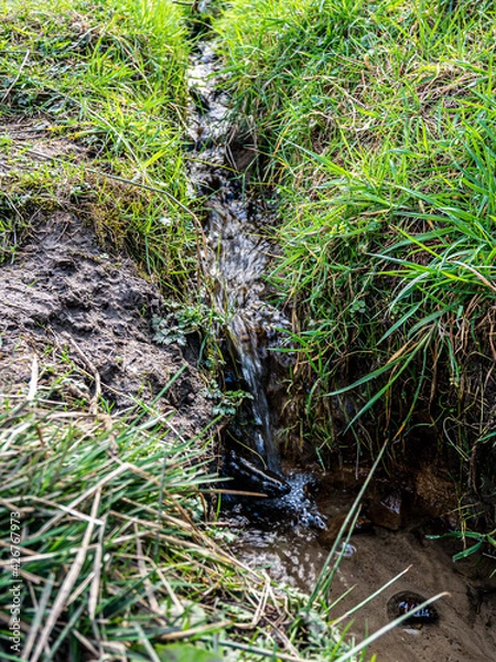 Obraz A water streams surrounded by greenery in the park.