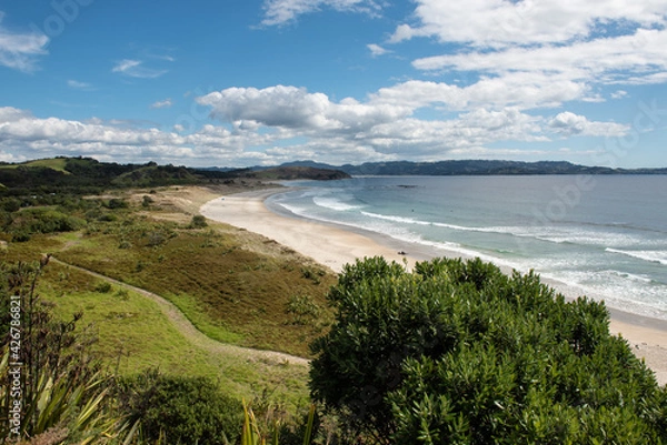 Fototapeta Elevated view of a desterted, sandy beach at Tawharanui Regional Park, Auckland, New Zealand, on a sunny day. 