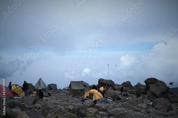 Obraz キリマンジャロ