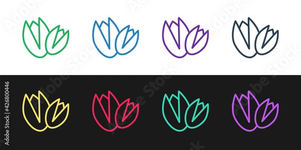 Fototapeta Set line Pistachio nuts icon isolated on black and white background. Vector
